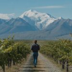Behind the scenes: what to expect on a Denali winery tour
