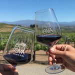 Santa Cruz Mountains AVA: tasting wines from California heights