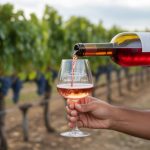 From grape to glass: uncovering the secrets of fermentation