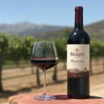 Bierzo mencía wine: an underrated Spanish red worth discovering