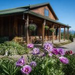 Bear Creek winery and lodging in Homer