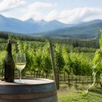 Bear creek wine company and brewery: wine, beer, and tasting experiences in alaska