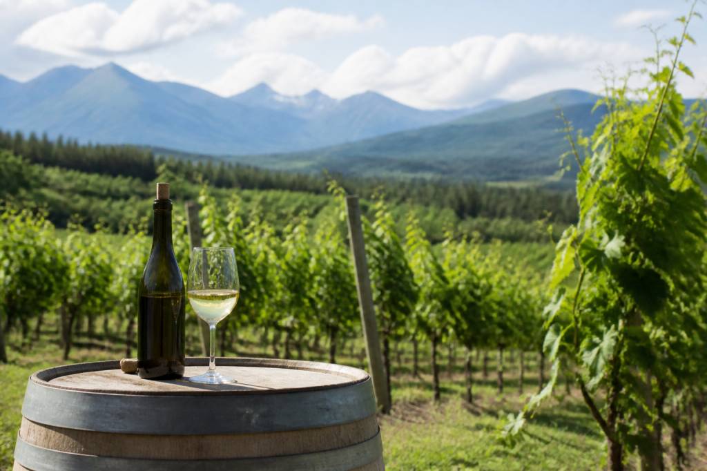Bear creek wine company and brewery: wine, beer, and tasting experiences in alaska